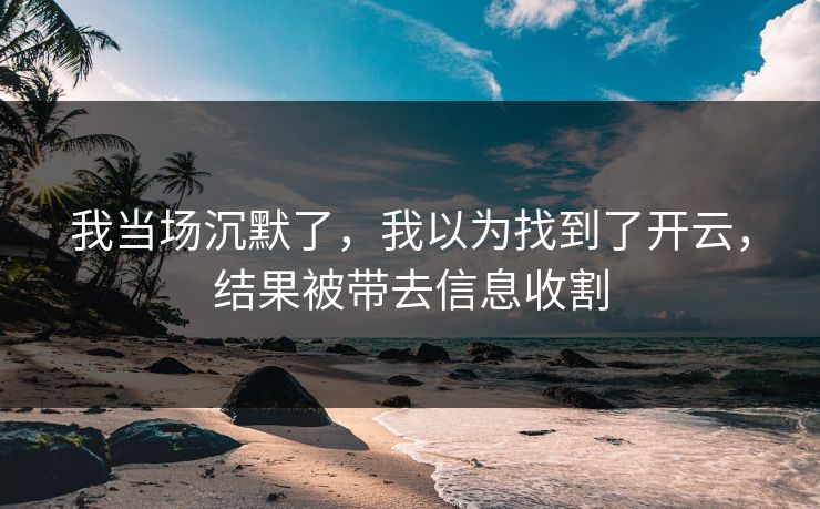 我当场沉默了，我以为找到了开云，结果被带去信息收割